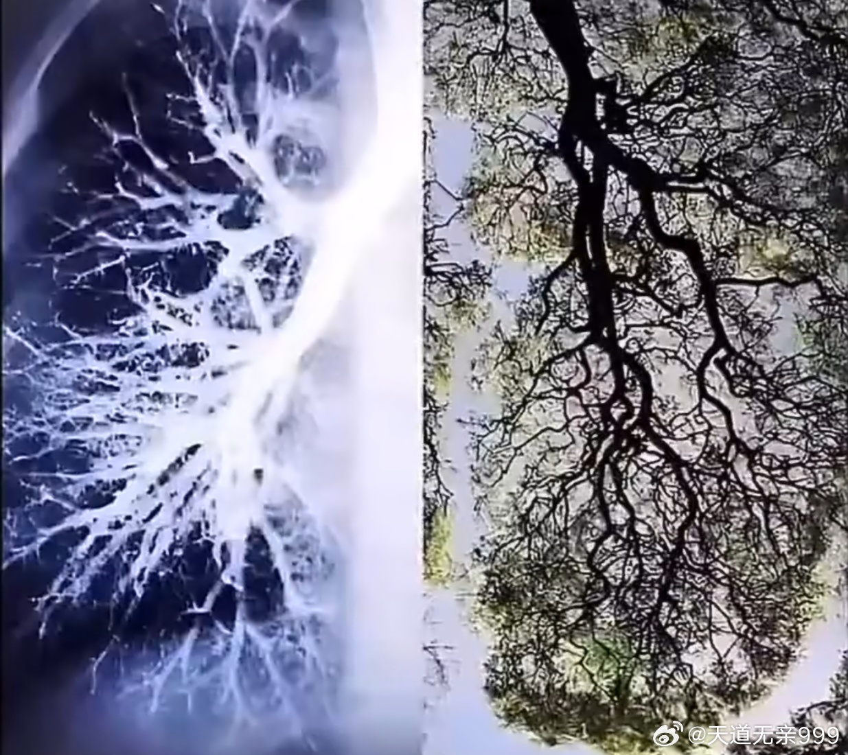 桥山黄帝陵古真本—阴符经（八）宇宙在乎手，善恶塑乎心，万化生乎身，神魔战乎志。解