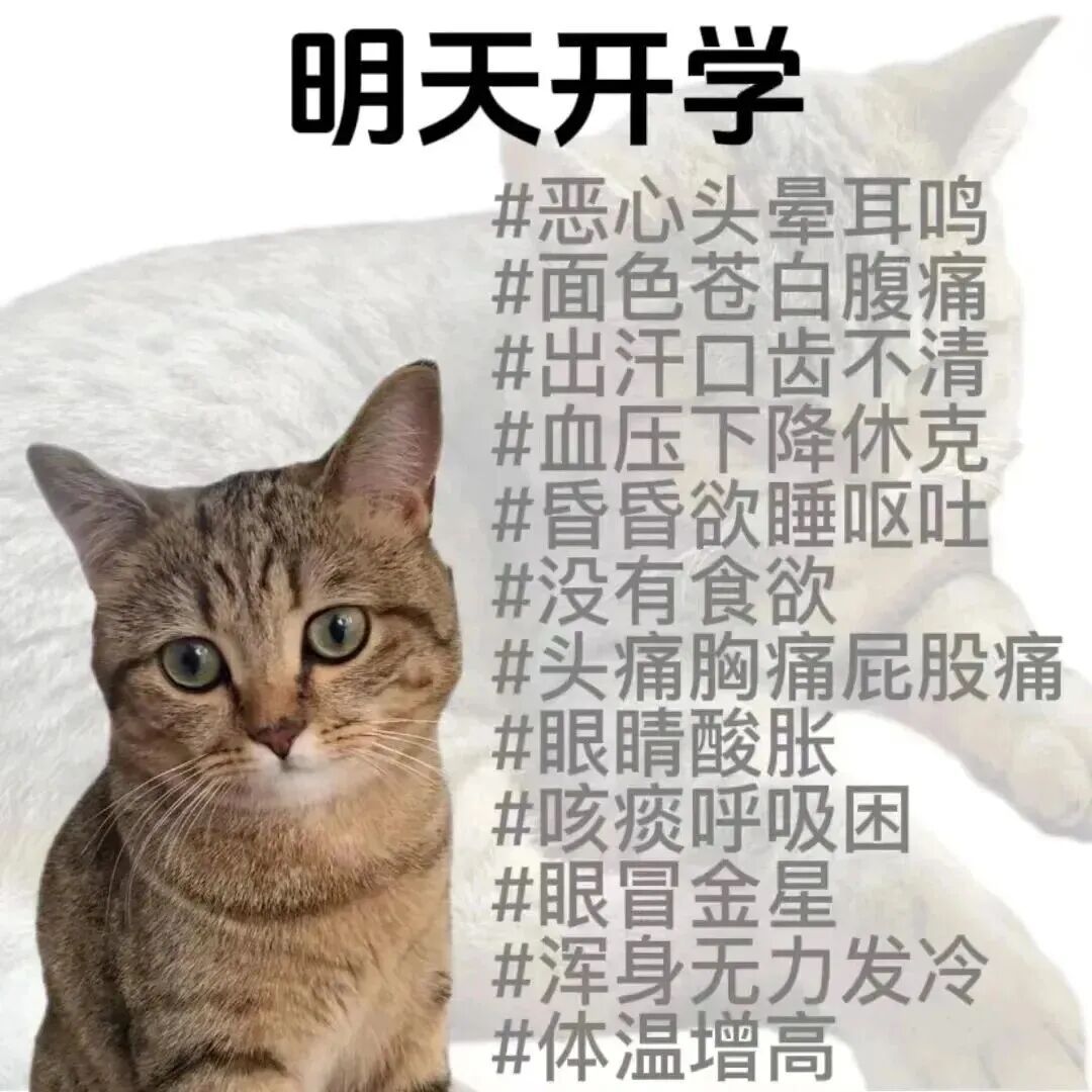 𝑺𝒉𝒂𝒓𝒆·表情包丨近期收藏的有病表情包积累 ​​​