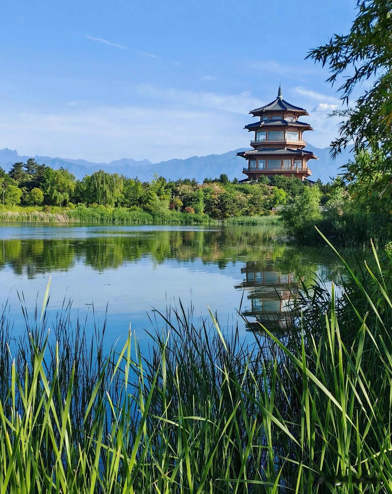 误入秦岭脚下的“江南”，鄠邑区渼陂湖的秋，美到失语

关中平原的秋，大抵是有些粗