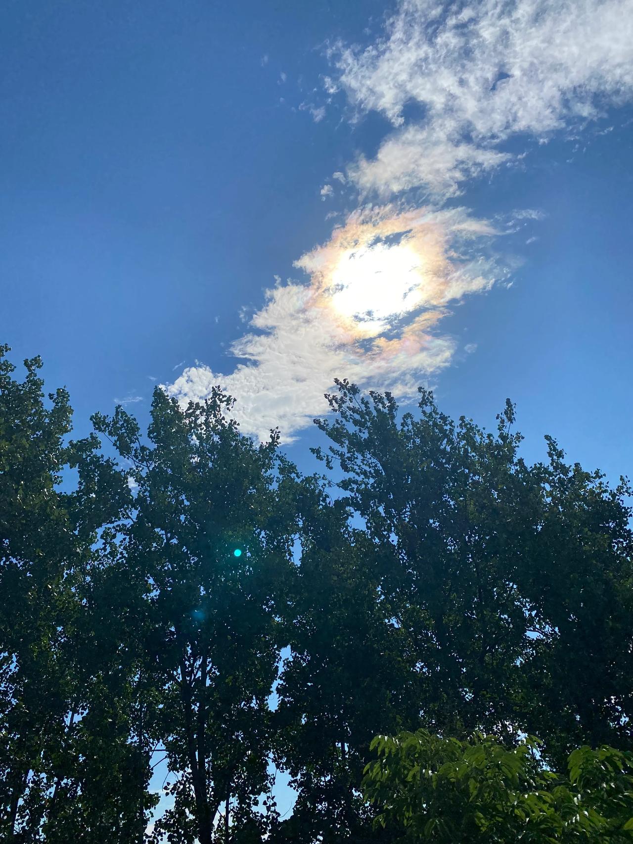 越来越觉得，在人生的某一个阶段，读到一本书，遇见一个人，或是经历一件事，都是上天