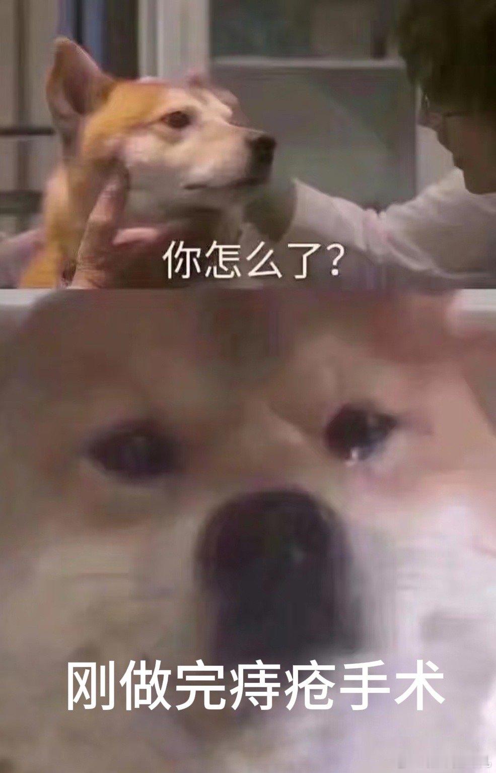 AI评割痔疮冲进临床最痛苦手术割痔疮比生孩子疼吗整个医院最礼让谦和的科室就是肛肠