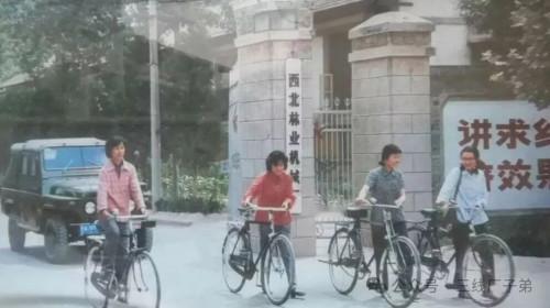 半个世纪前，只要是国营工厂，无论是在东北老工业基地的巨型工厂，还是西南深山里的三