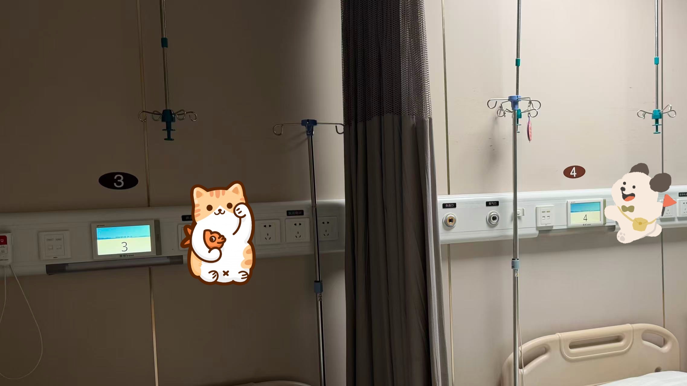 和碗盆这钢筋一般的母子羁绊生了个小病住院的时候分病房里面是3-4床，柜子是3-4