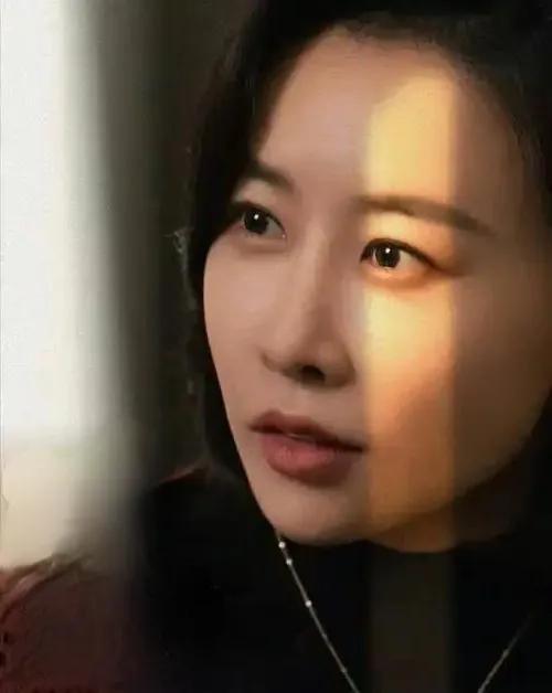 追剧《以法之名》  看到第20集，蓦然想起，饰演管委会主任的柳韵不就是《丑女无敌