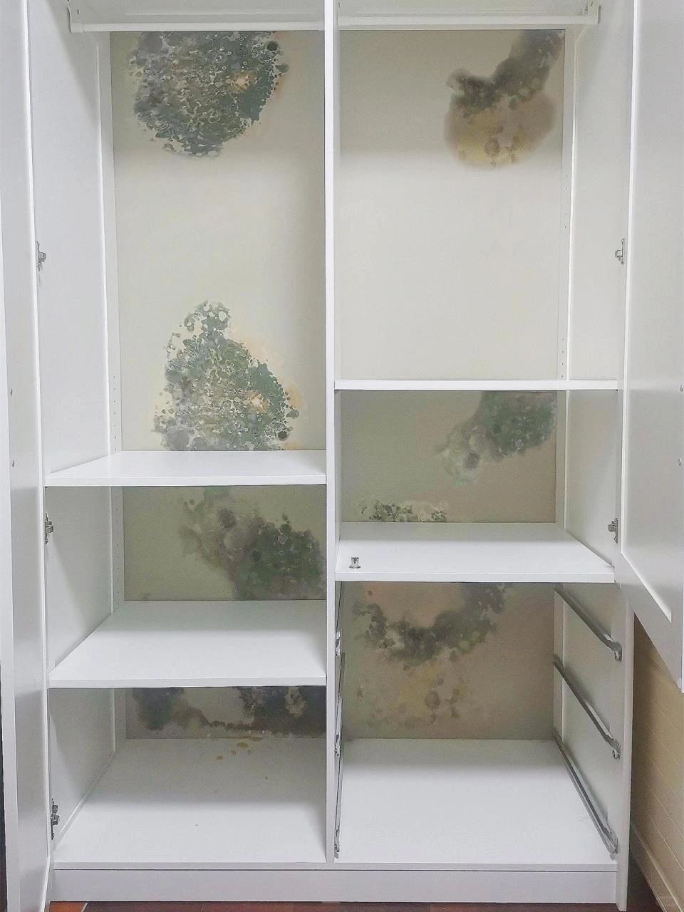 花2个月闷蒸除甲醛，30万装修全毁了！