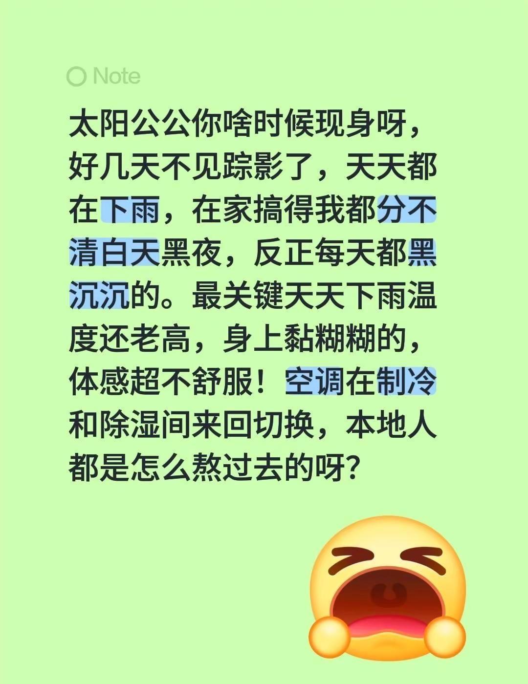 太阳公公你啥时候现身呀，好几天不见踪影了，天天都在下雨，在家搞得我都分不清白天黑