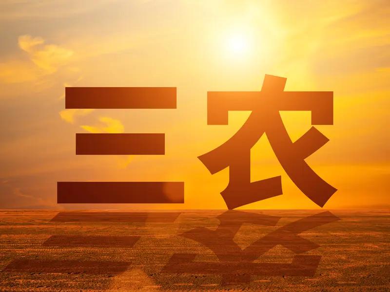 未来三农发展得从多方面发力。农业上，得加大科技投入。就像现在一些地方用无人机打药