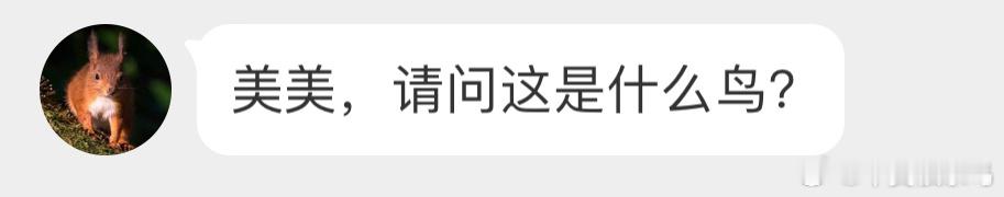 送分题环节～课代表来解答[开学季] ​​​
