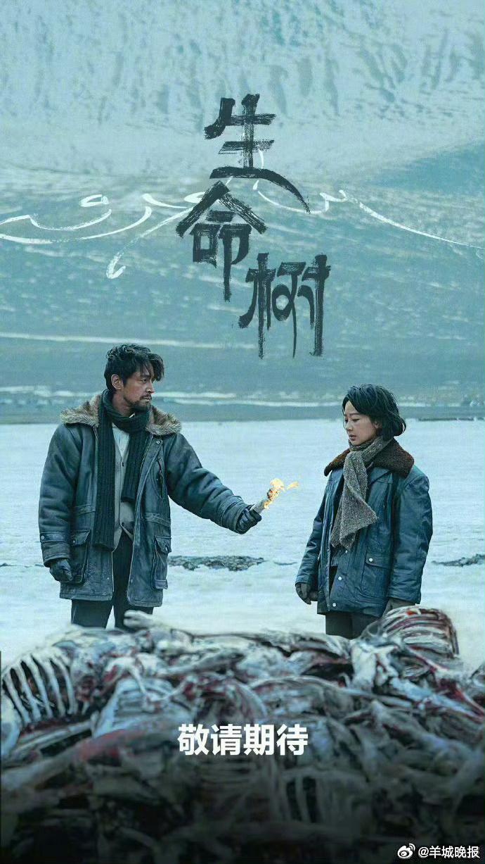 【推荐回家路上的必看追剧清单】临近春节，快选一部好剧陪伴你回家吧！评论区聊聊你最