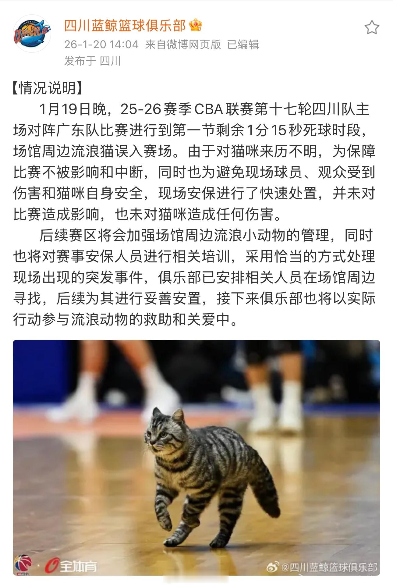 cba 哈哈哈，真是历史一刻，为Tom发声Jerry：要不我也试试？