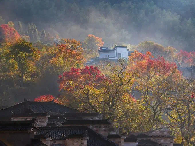 安徽的秋天，是一首诗，是读不完的斜阳、红叶、马头墙，是听不厌的皖秋彩水叮咚响。 