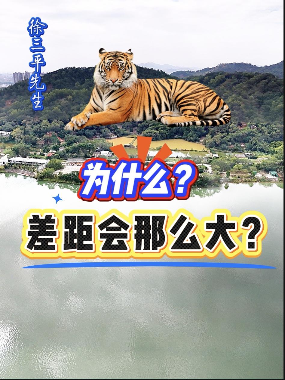 李嘉+诚祖地引发的思考：为啥差距那么大？在那片山上，已经种满了地，几百上千个，即