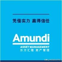 英国《金融时报》日前报道称，欧洲最大资产管理公司东方汇理资产管理首席投资官接受采