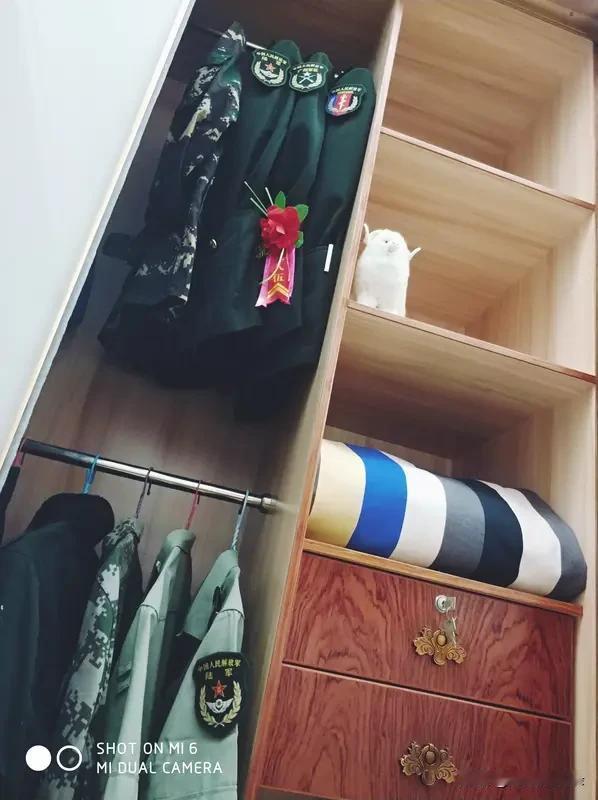 我有个同事只有高中学历，当兵16年后退役，
转业分配到我们单位
我单位里有个很特