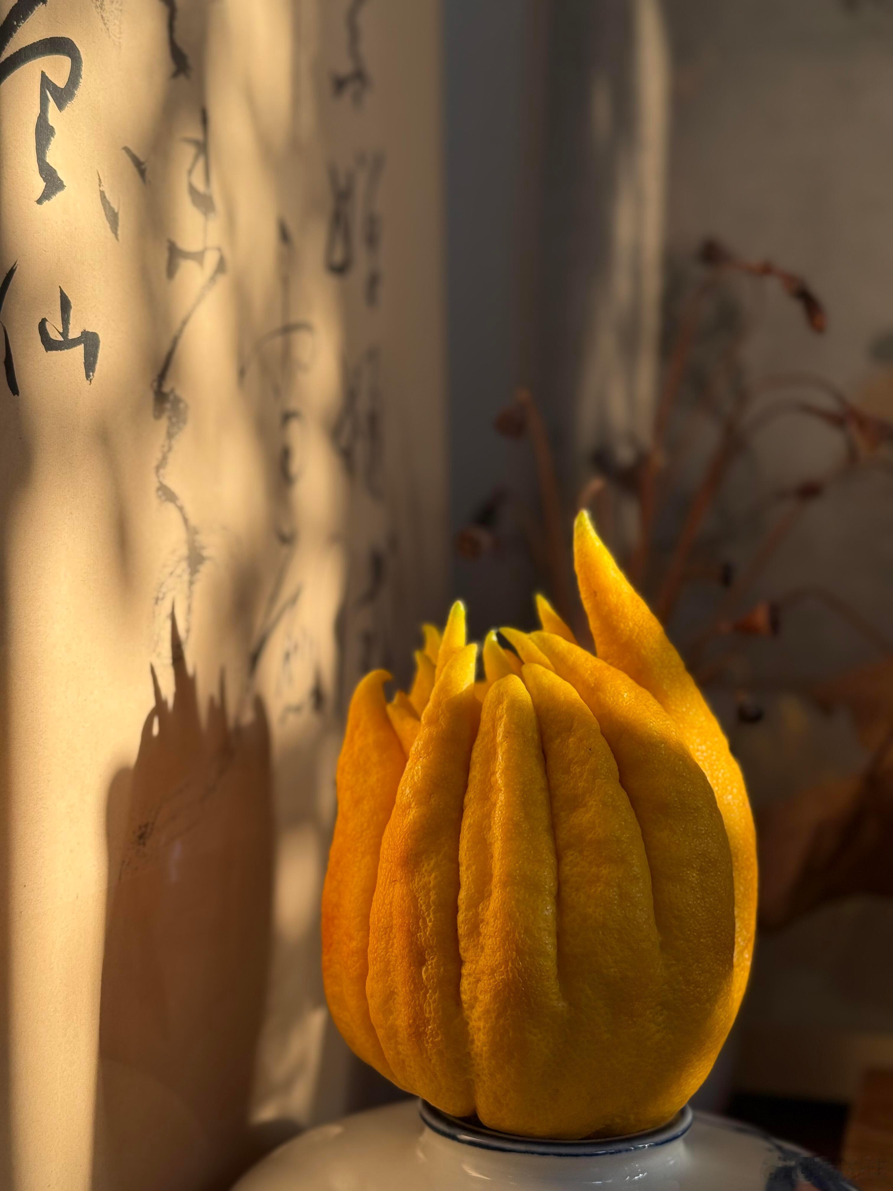 信念感是很玄的东西，你相信什么你就成为什么。人生感悟人生的100种可能