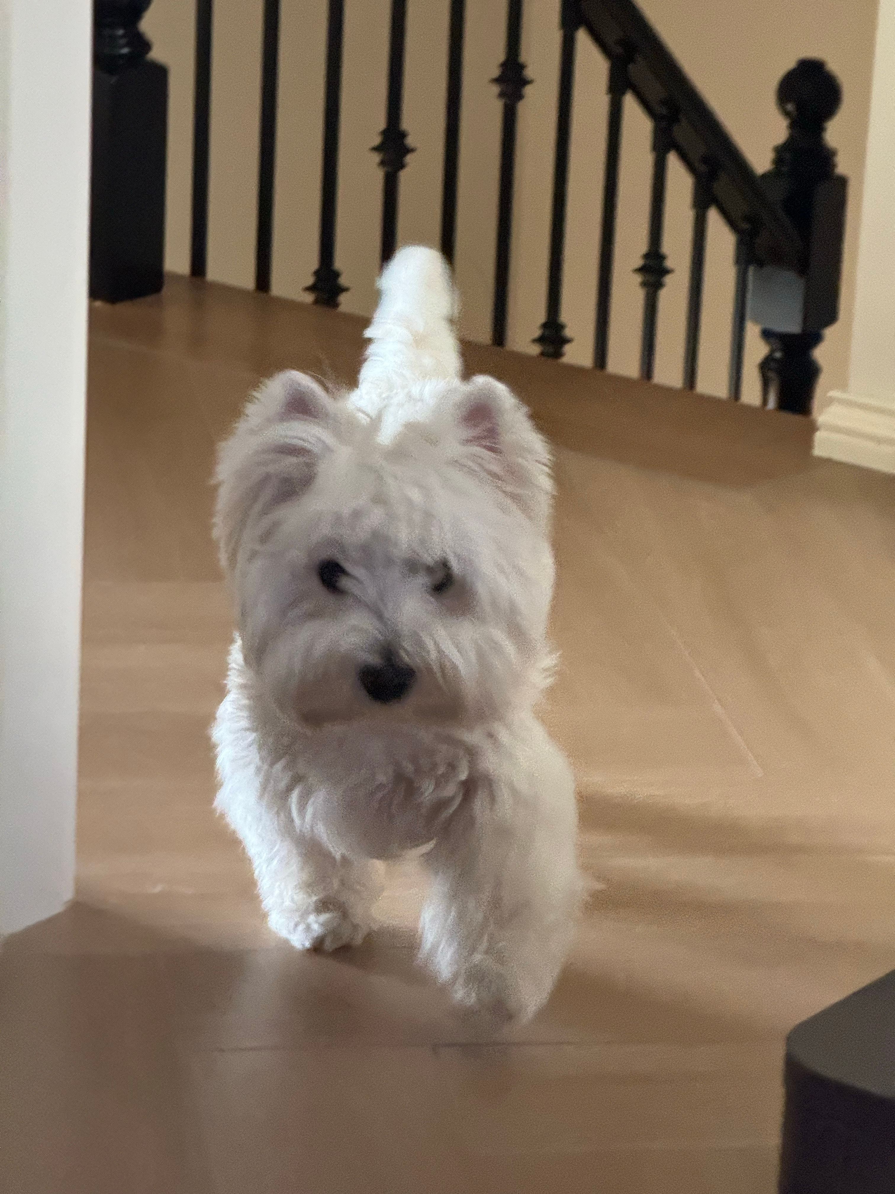 39块买的好漂亮 