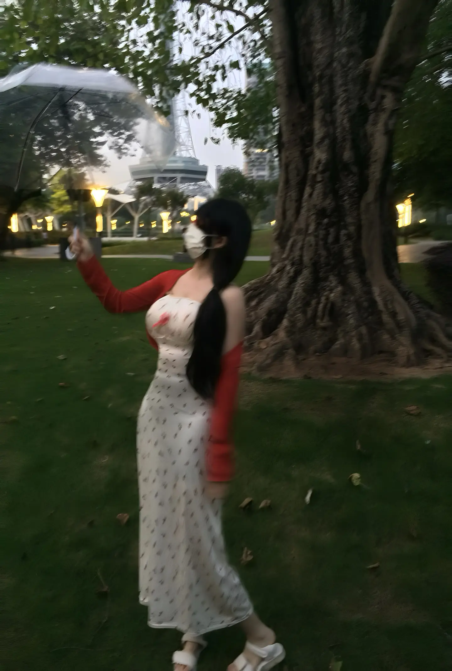 你出现在我的梦树言巷