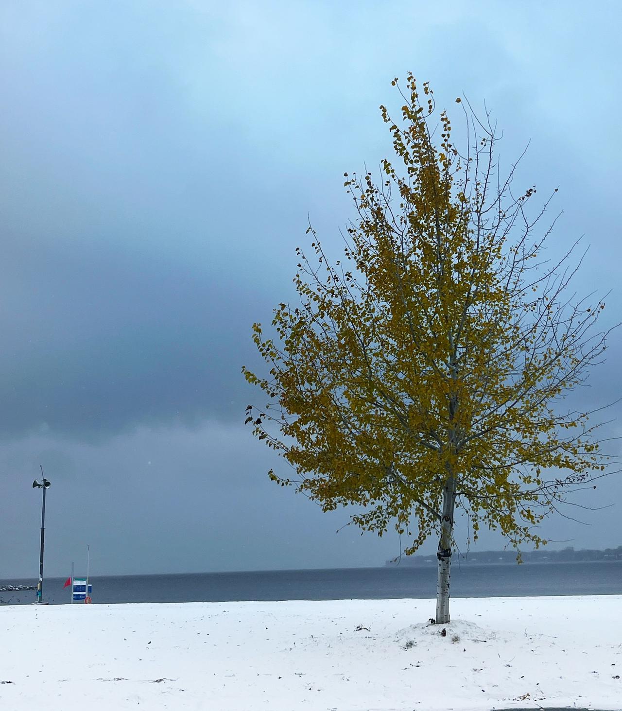 下雪了，脚踝那么深。冬天来啦，今年恐怕不太好过了。冷的很。要多囤点粮食过冬啦[可
