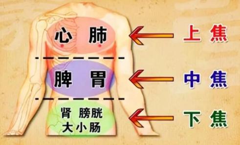 一身胀痛是三焦不通，一堆烦恼是气机不顺。教你一招疏通三焦，不花冤枉钱

你是否总