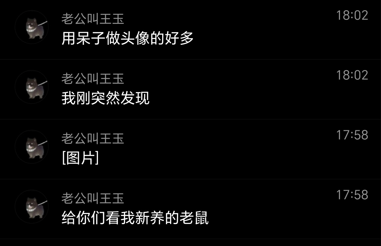 我还以为真的养了老鼠