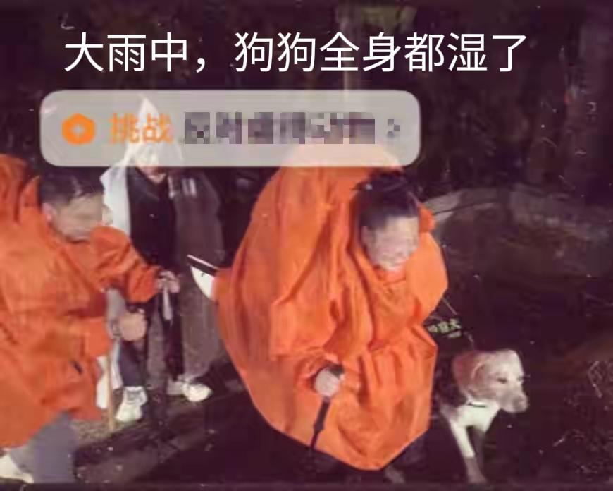 人类不毁灭的办法，就是善良。科学家认为，人工智能最终会替代人类，人工智能对待人类