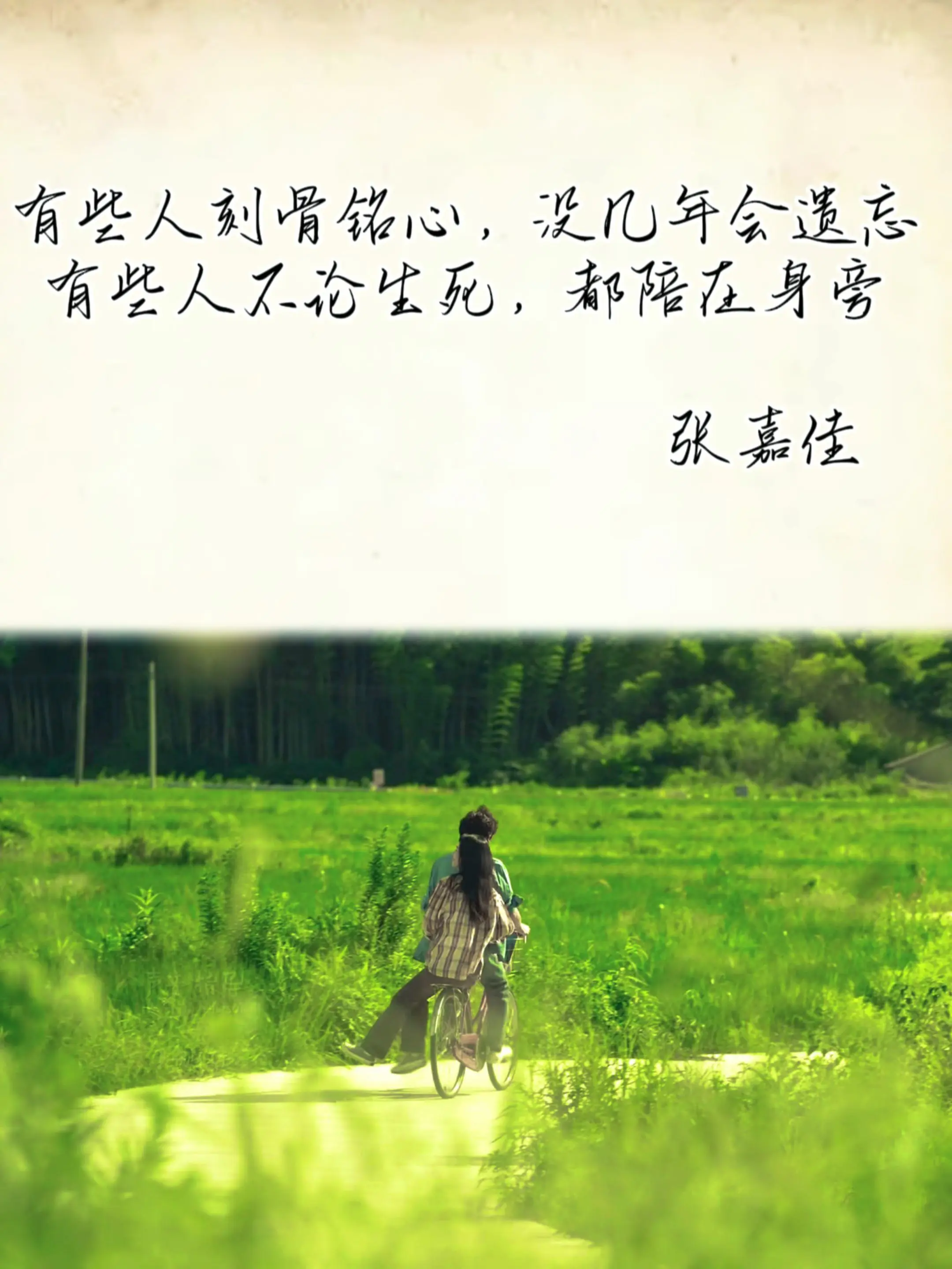 你存在 我深深的脑海里