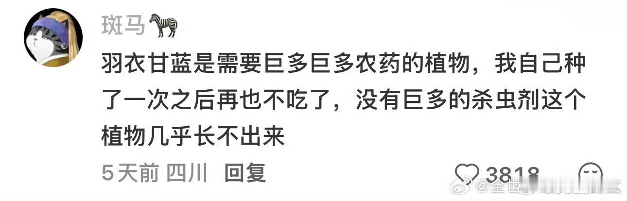 羽衣甘蓝 农药什么！震惊！我最近特别爱喝羽衣甘蓝的鲜榨饮料之类的，你这不逗我玩吗