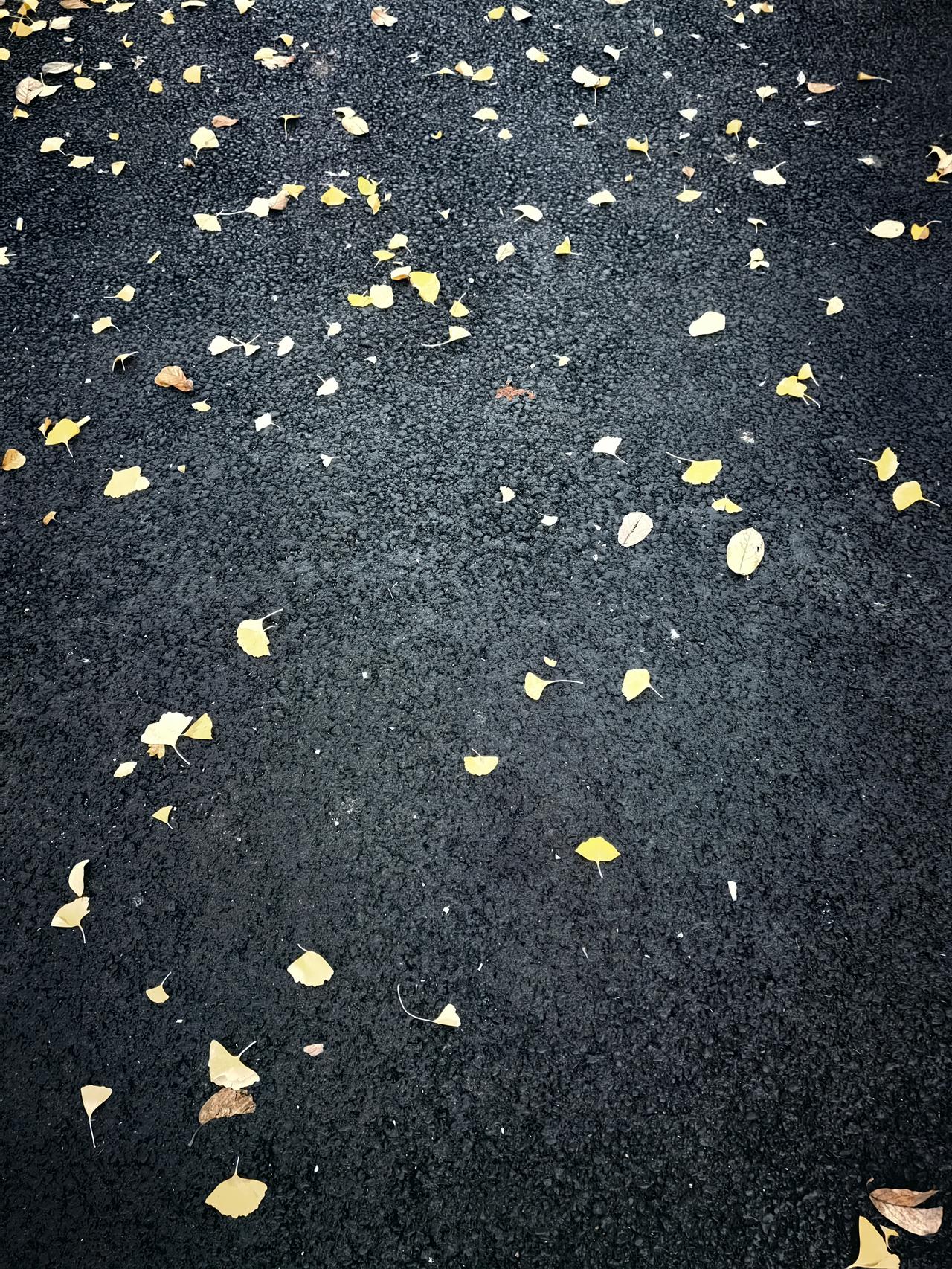 昨晚老公近两点才回家，出去吃吃喝喝，连个信儿都不带回的。我这才感悟：他这人的情商