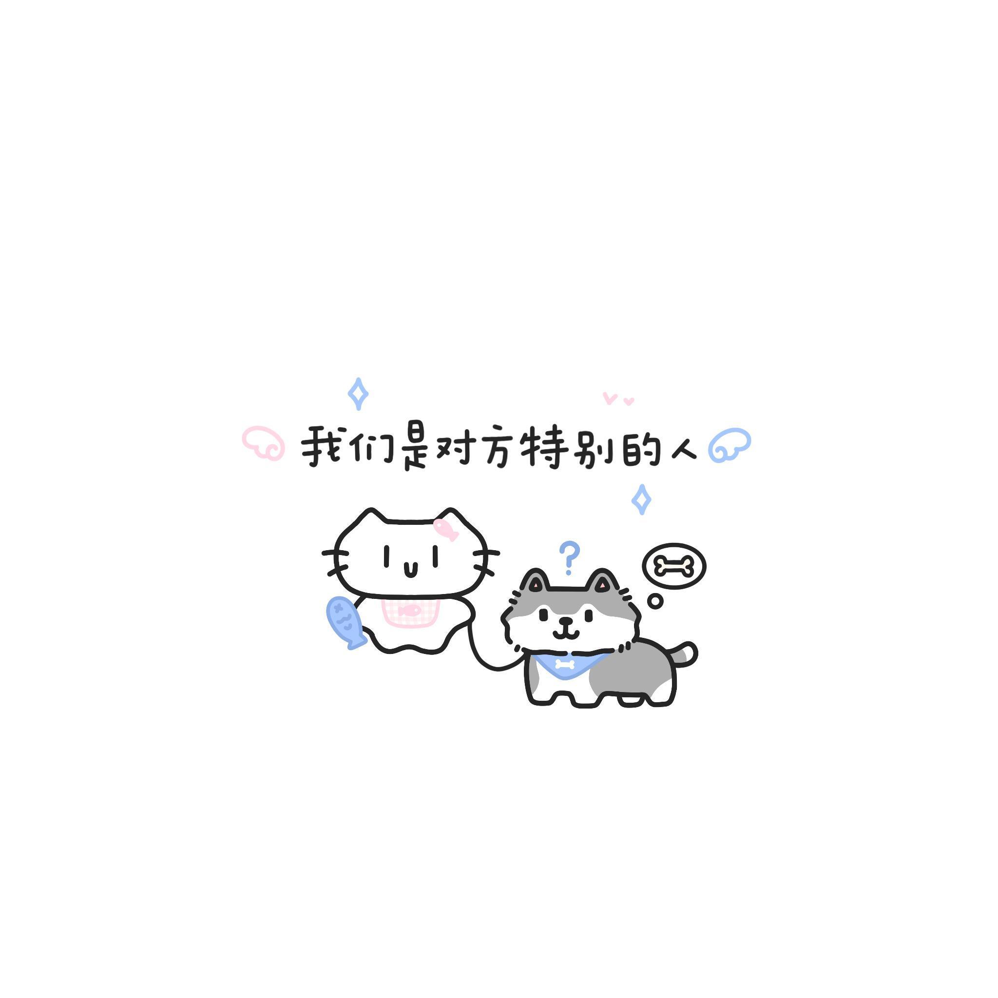 歌词小猫背景图⌯>𖥦