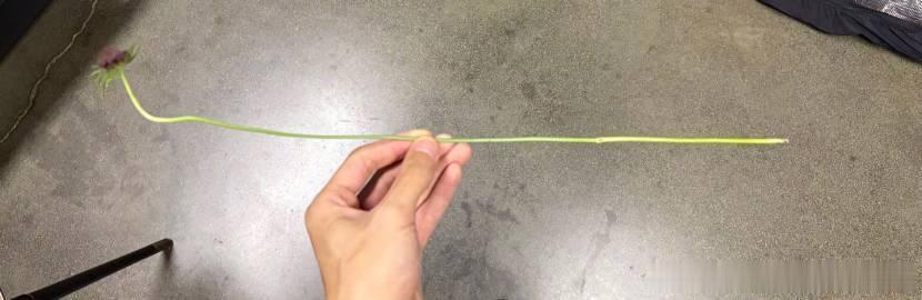 易烊千玺用一阵笛声留住我悠扬笛声作为前奏太加分，山花点缀的乐器藏着细腻小心思，易
