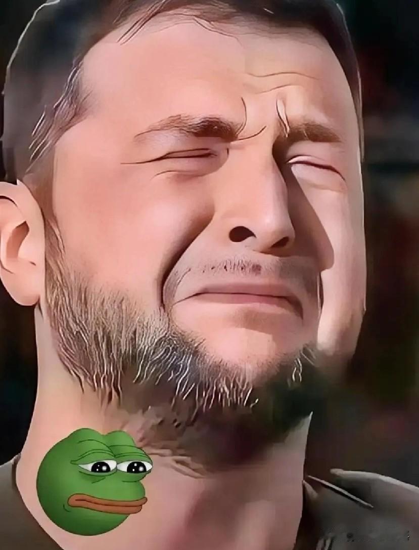 谈判结束！当地时间1月6日，新一轮谈判正式落下帷幕，泽连斯基还是被卖了，因为一旦