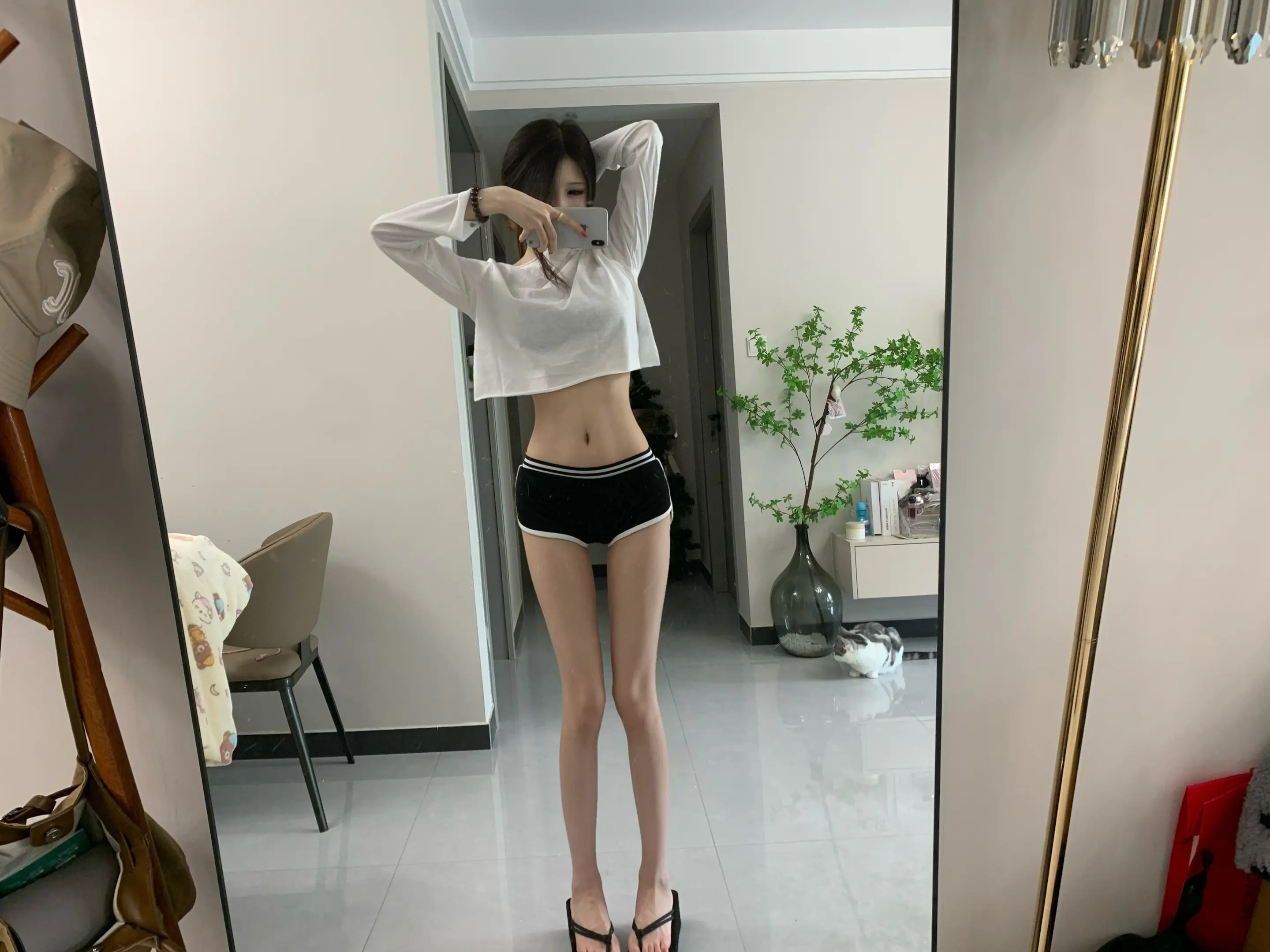 命运 你阿帕兹