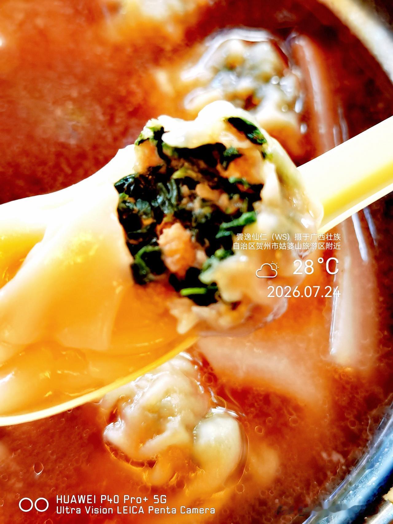 月居生活记录（10303）广西壮族自治区贺州市（31）品尝小吃10：野菜（野香草