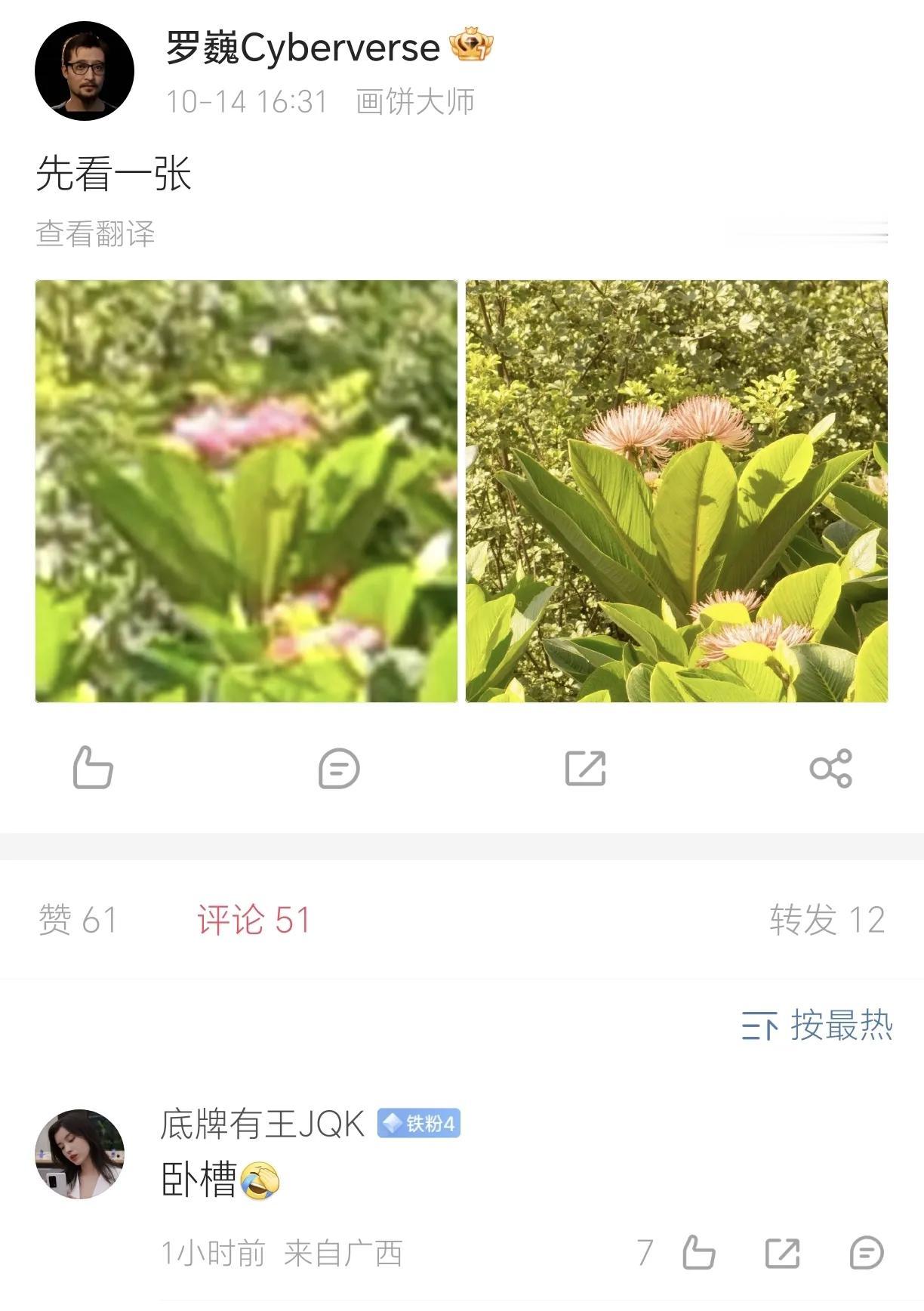 离谱！荣耀Magic7系列这AI修复能力有点夸张了，模糊不清的照片在其强大的AI