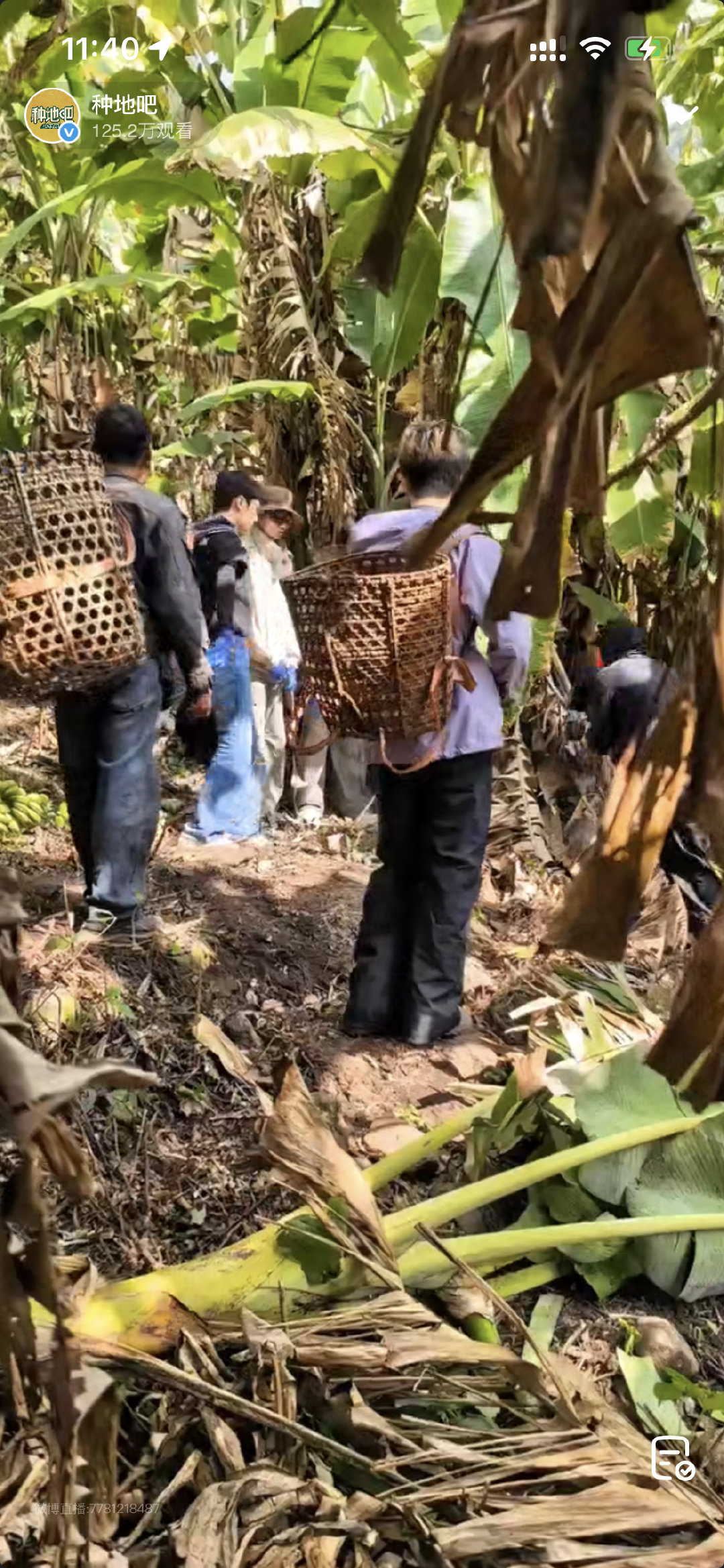 种地吧砍香蕉直播十个勤天砍香蕉直播 十个勤天砍香蕉直播 