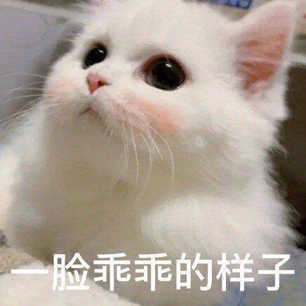 丰富一下表情包 