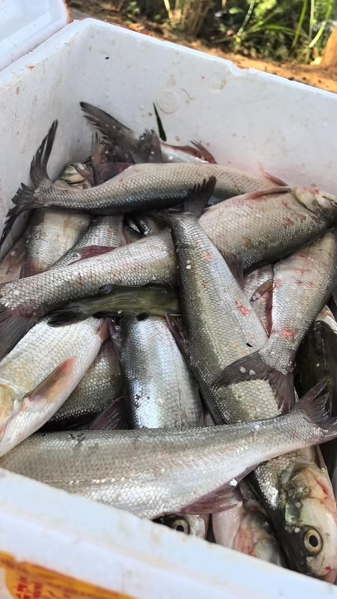 收工 有点累[老师好] ​​​