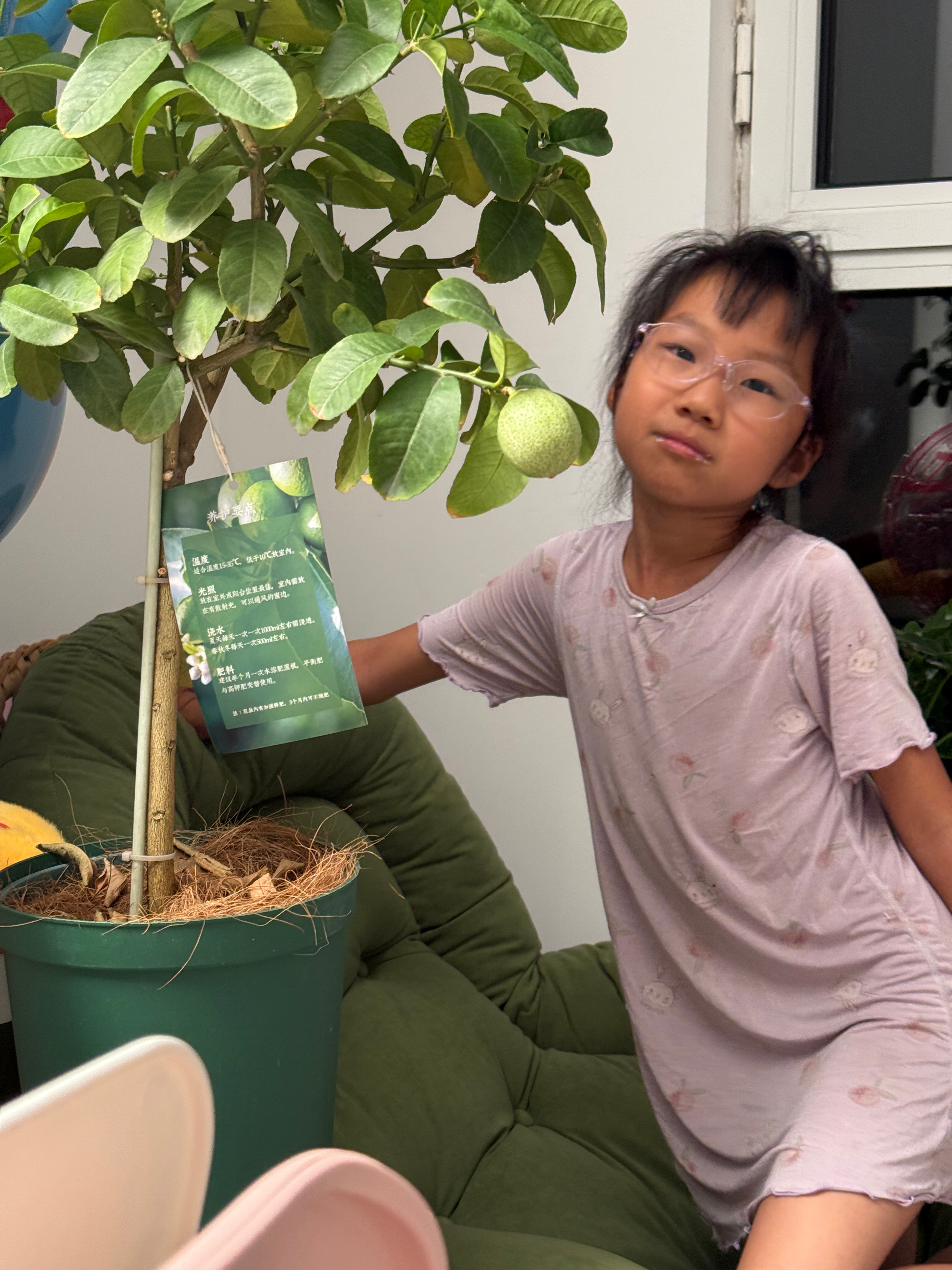 今晚我提前做好了饭，顺便解锁了一道新菜—东北大乱炖反响很不错，给我夫香坏了！米饭