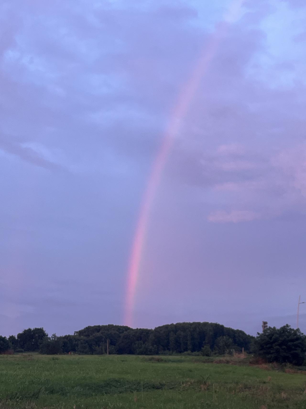 夏日这场雨真是神来之笔！
雨后高空挂着彩虹，火烧云漫染暮色，一池荷花藏尽夏日温柔