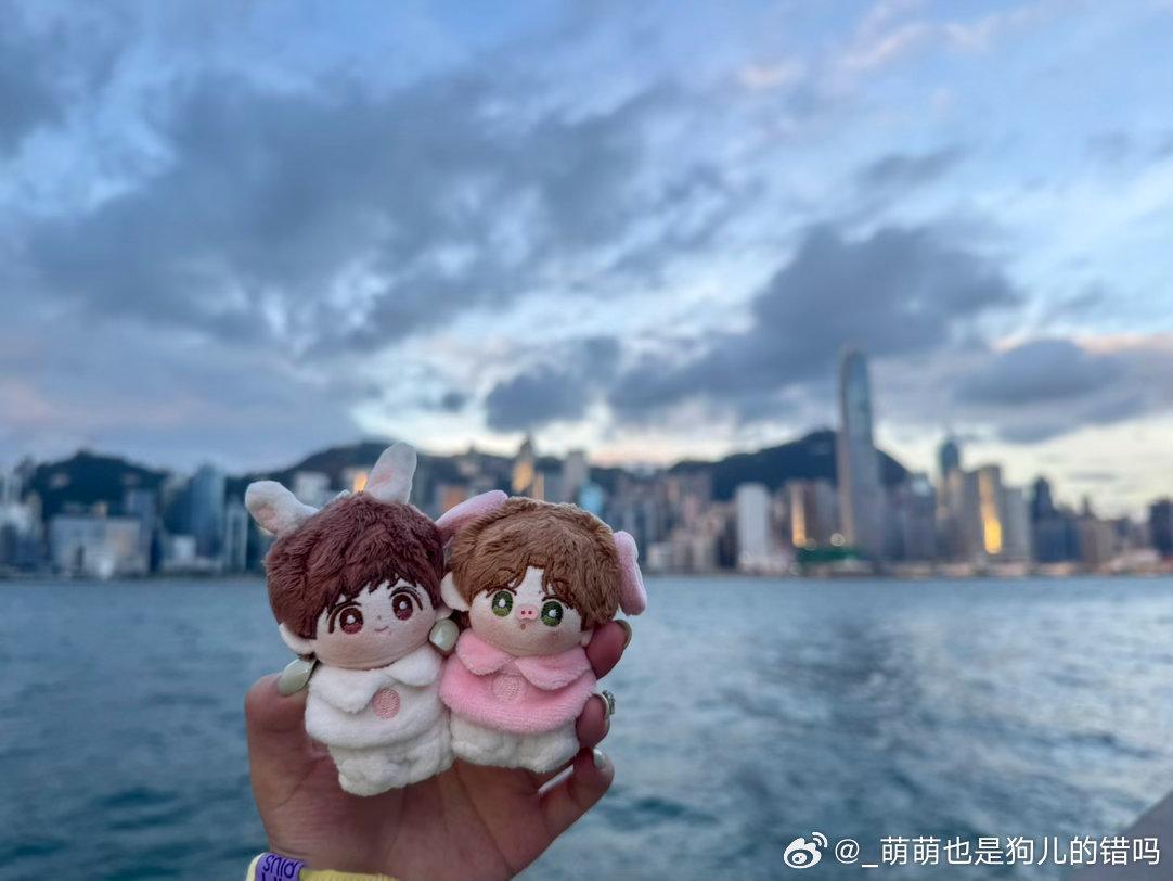 200%的真心💛  ​​​