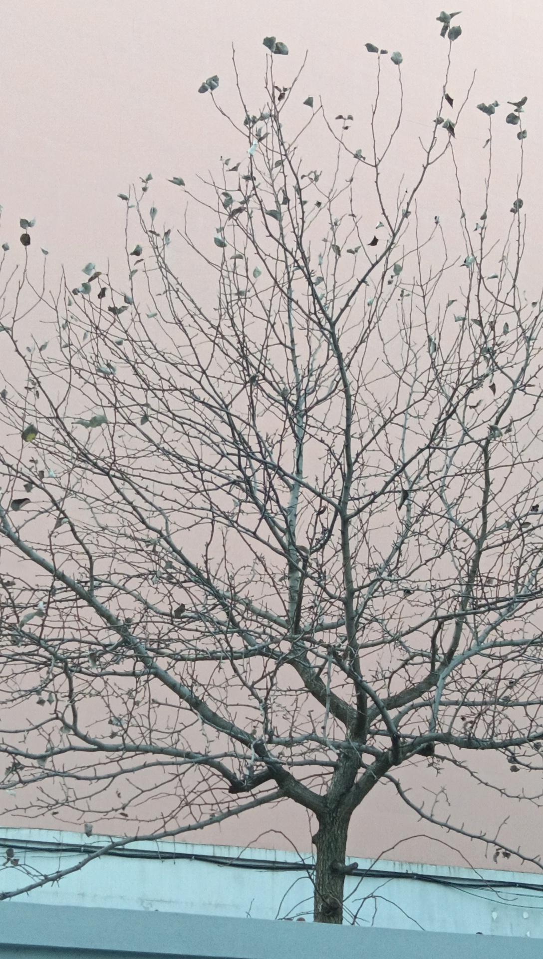 上联：细雨悠悠敲旧瓦，求下联下联：庭院深深念双亲。