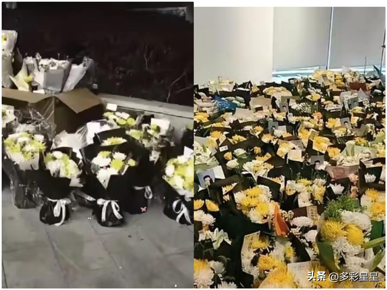 去苏州想给张雪峰送束花，结果到了产业园，连个落脚的地儿都没有。
​​满眼都是花海