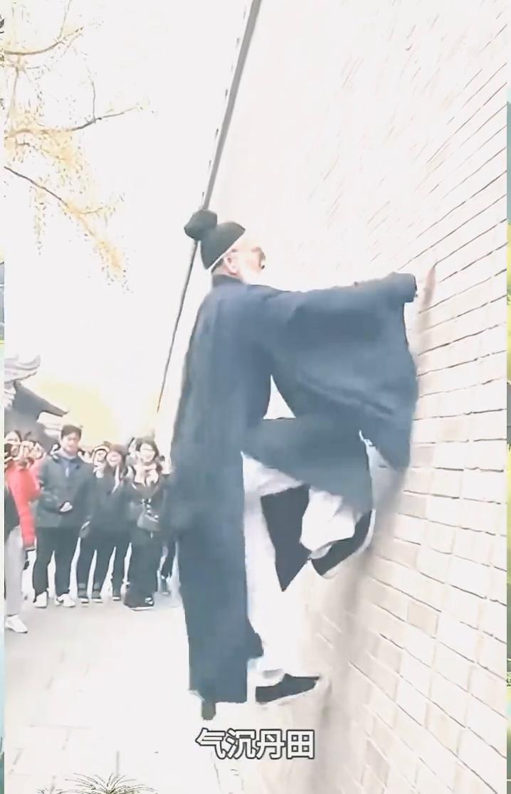 飞檐走壁。
诸位看好了，脚尖先展，气沉丹田，身子与墙呈一线，重心随着呼吸起落。走