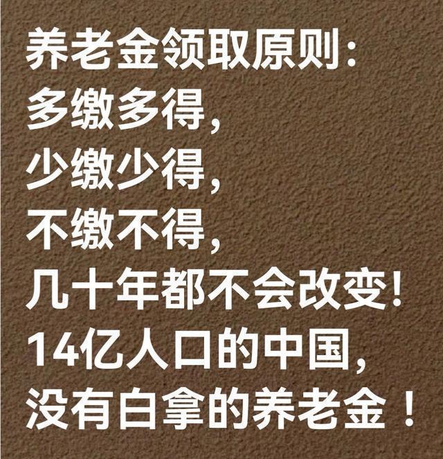 做为共和国公民坚决维护《社保法》的尊严，多缴多得、少缴少得、不缴不得，坚决打击凌