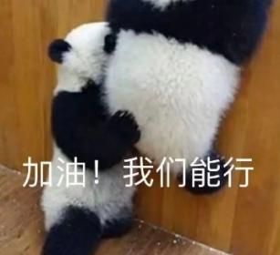 #淘宝回应试验火箭送快递# 火箭送快递？这绝对是我听过最酷炫的物流方式了！ ​​