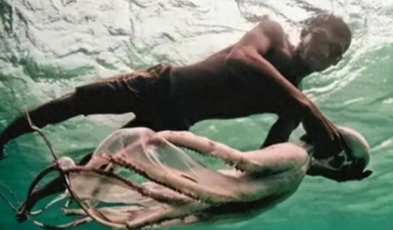 世界上唯一没有国籍的民族：一生只能待在水里，身体开始 “进化”。

麻烦看官老爷