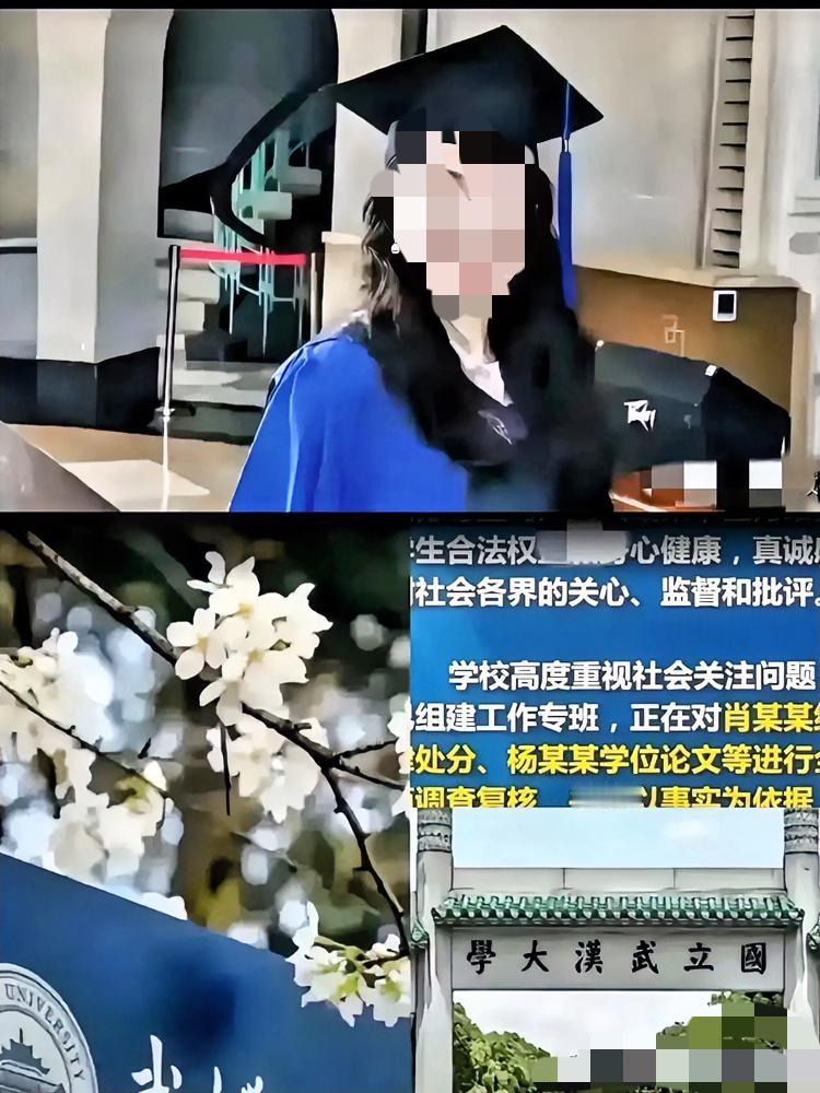大快人心！武大那场闹得沸沸扬扬的官司，杨某媛彻底输麻了！法院驳回她全部诉求，法院