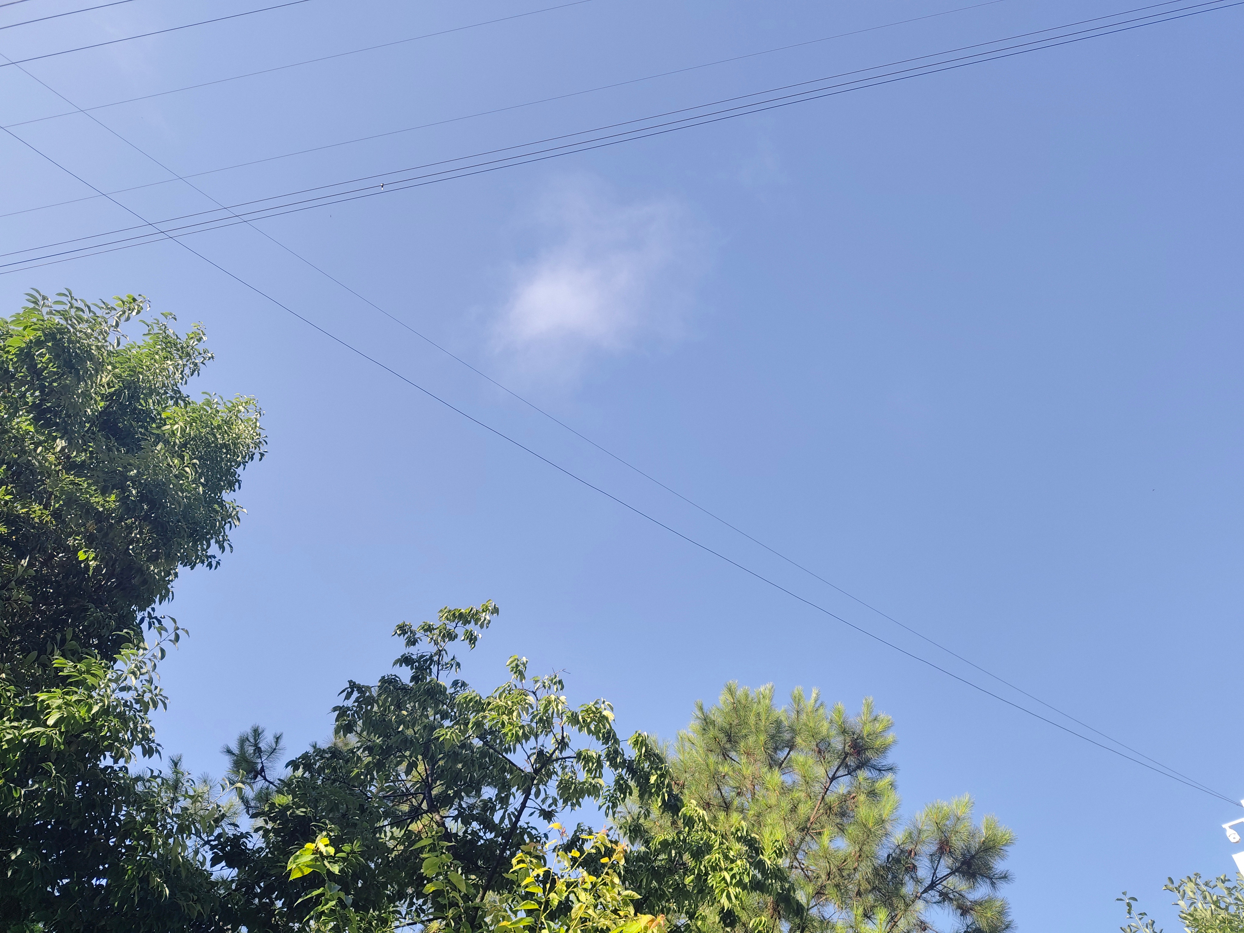 昆明 天空蓝得一尘不染 