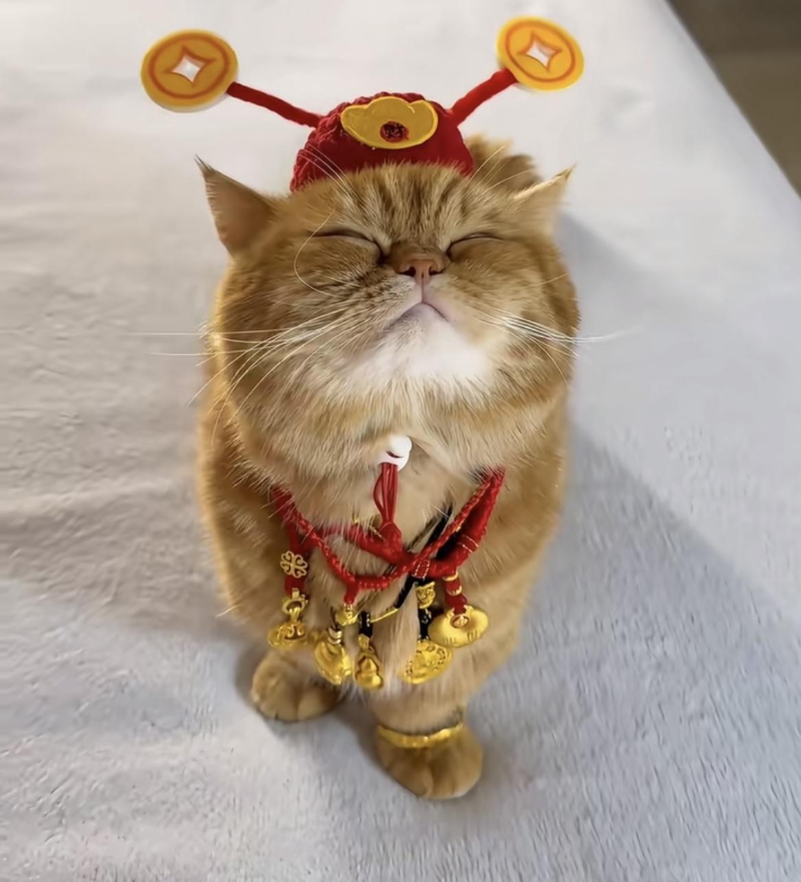 金价涨疯了，我是一看一个不吱声，肠子都悔青了！

前段时间还900多一克的时候，