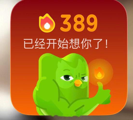 多邻国  389天
